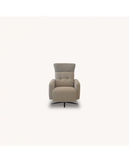 Swivel Wing Chair with Electronic Recliner