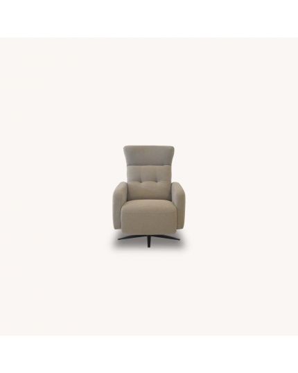 Swivel Wing Chair with Electronic Recliner 