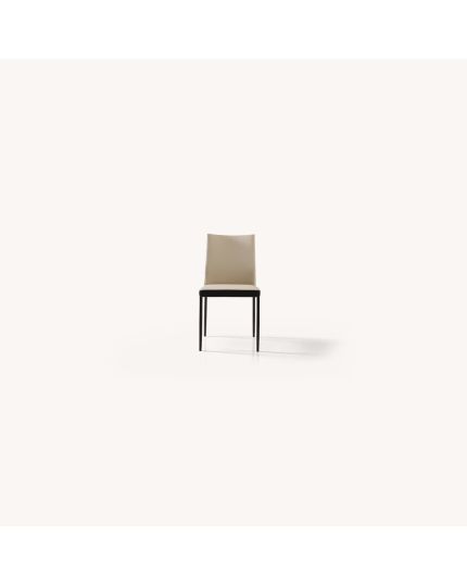Dining Chair [CHR-DC9547G-5CH]