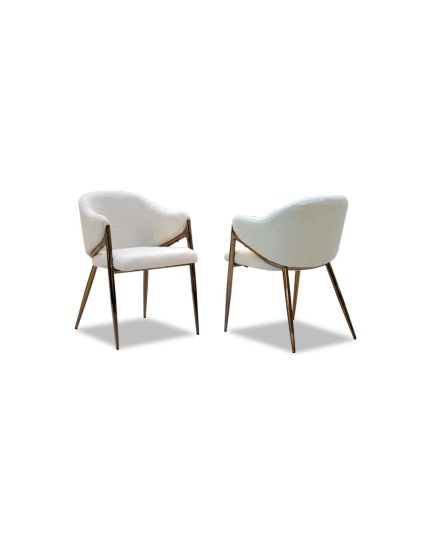 Dining Chair [CHR-HT2320-5CH]
